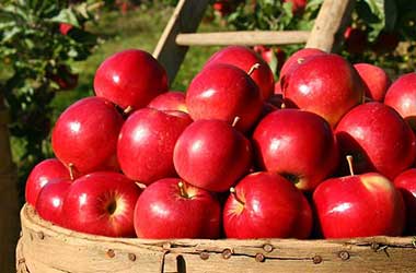 Appels invriezen